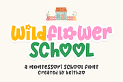 Wildflower School - Display Font, a Handwritten Font by Keithzo (Thumbnail 1 of 11)