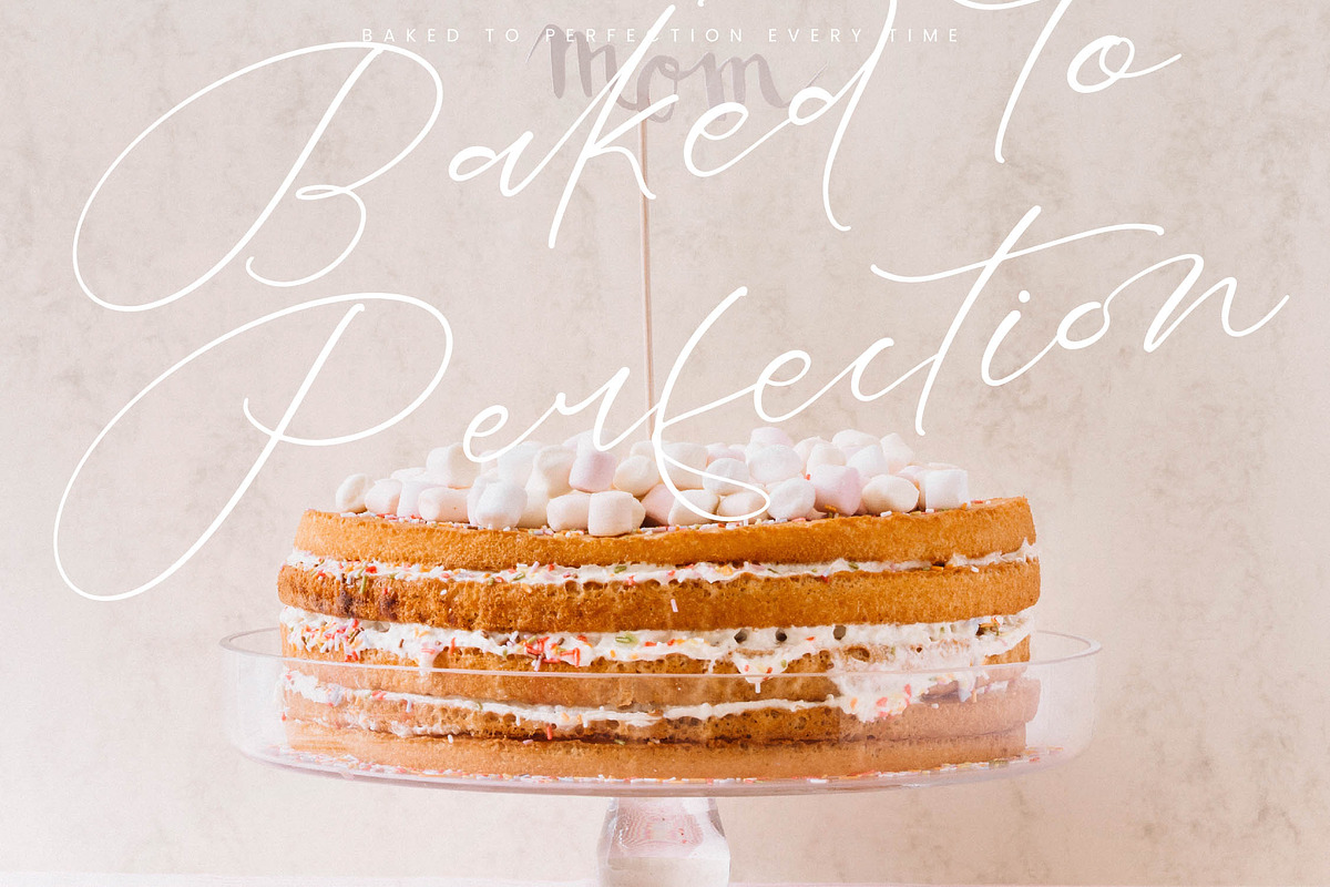 Buterlife Majestic Elegant Script, a Script Font by stylishtype.co (Photo 9 of 20)