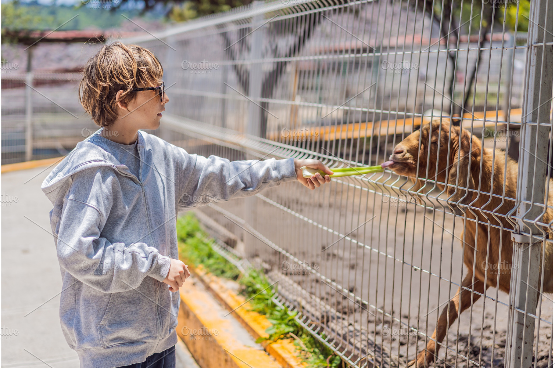 Young boy feeding a goat on a farm, a Nature Photo by Elizaveta Galitskaya