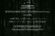 Sellmalpen Elegant Handwritten Font, a Handwritten Font by mesuka (Thumbnail 5 of 5)