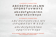 Wildest Dreams - Display Font, a Sans Serif Font by Sarid Ezra (Thumbnail 12 of 12)