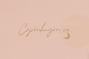 Emilia-Romagna Script Font, a Script Font by Creativeqube Design (Thumbnail 7 of 13)