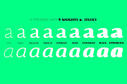 Beatrix Antiqua - 18 fonts, a Sans Serif Font by Zetafonts (Thumbnail 10 of 10)