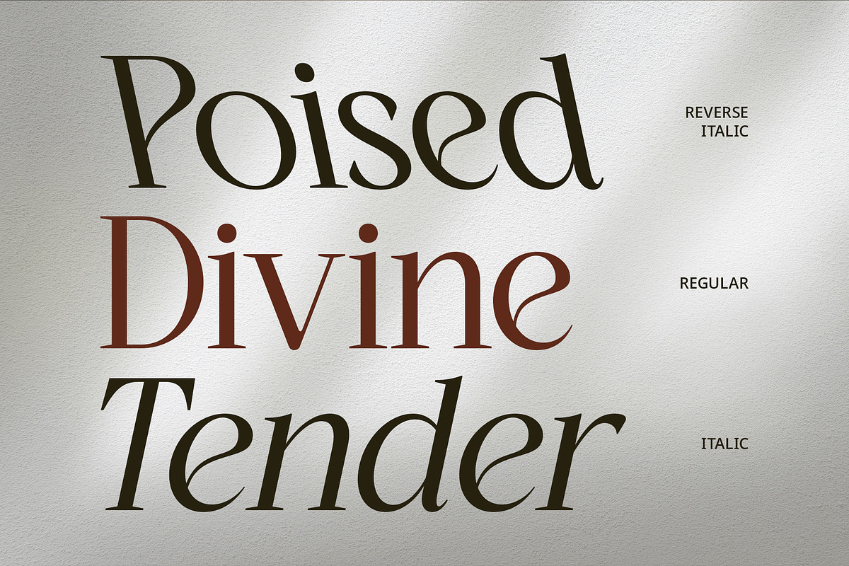 CS Quiles – Elegant Font, a Serif Font by Craft Supply Co. (Photo 5 of 8)