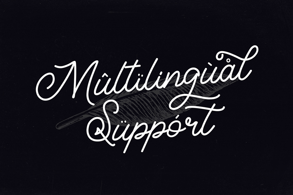 Classical - Classy Monoline, a Script Font by MLKWSN (Photo 10 of 12)