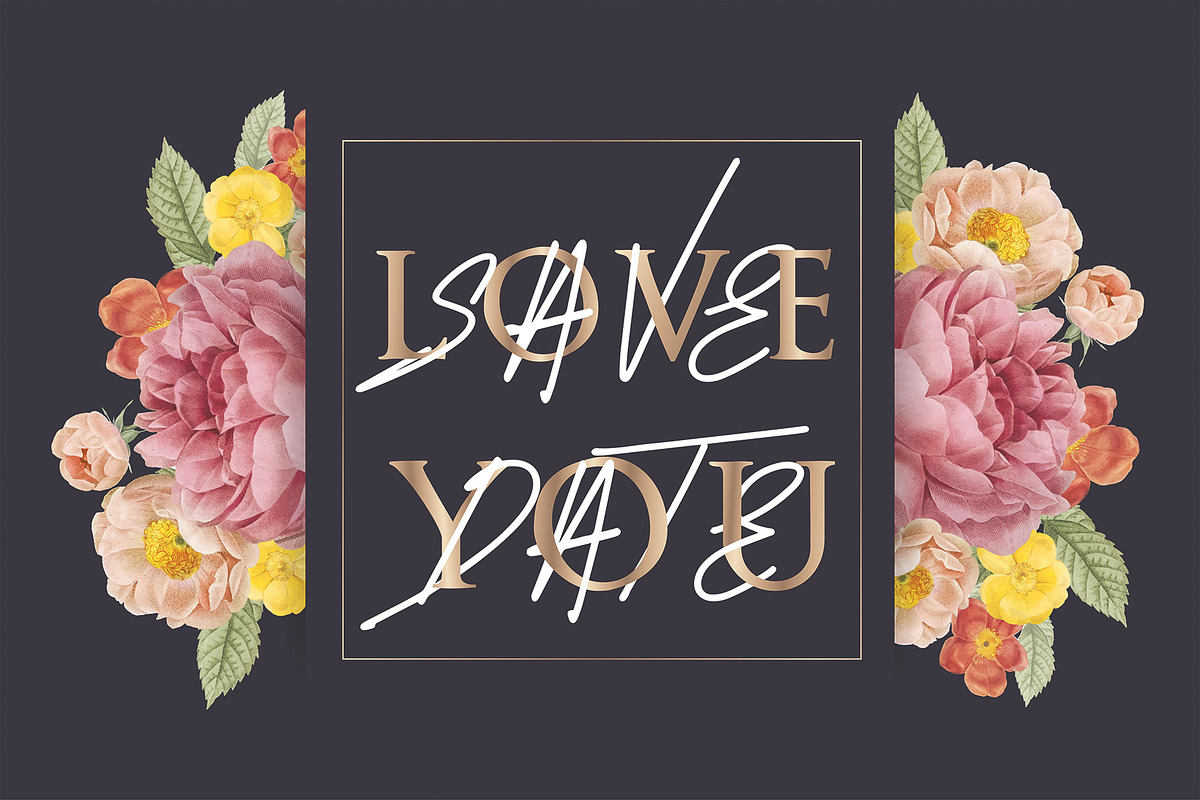 Nissibi Regular Signature Font preview 7
