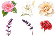 Various Flowers Clipart, an Illustration by Watercolor design (Thumbnail 2 of 4)