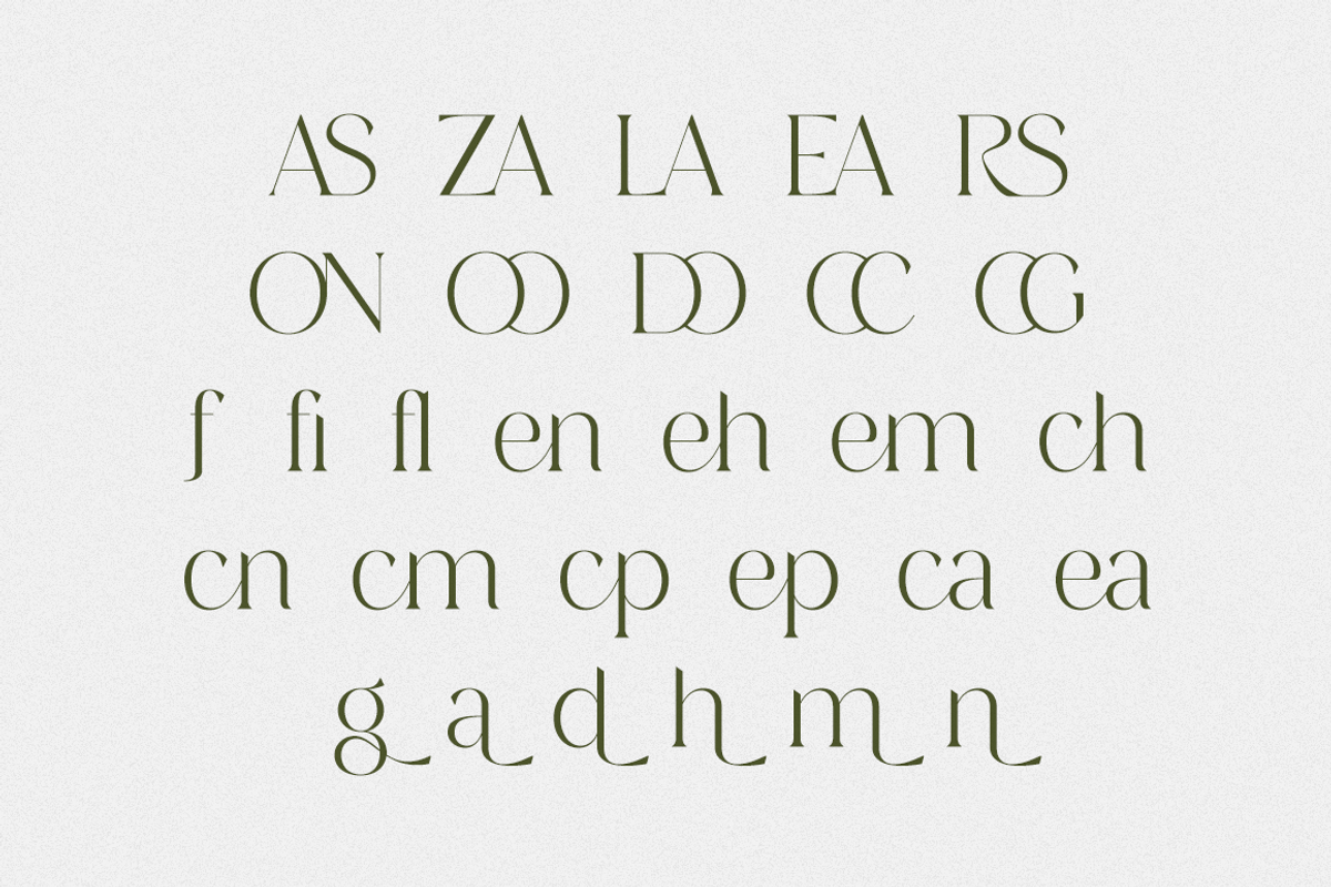 Versine Swoosh, a Serif Font by RockboyStd (Photo 10 of 12)