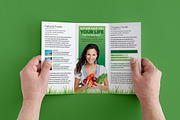 Eco Nature 3fold Brochure, a Brochure Template by Print design (Thumbnail 2 of 3)