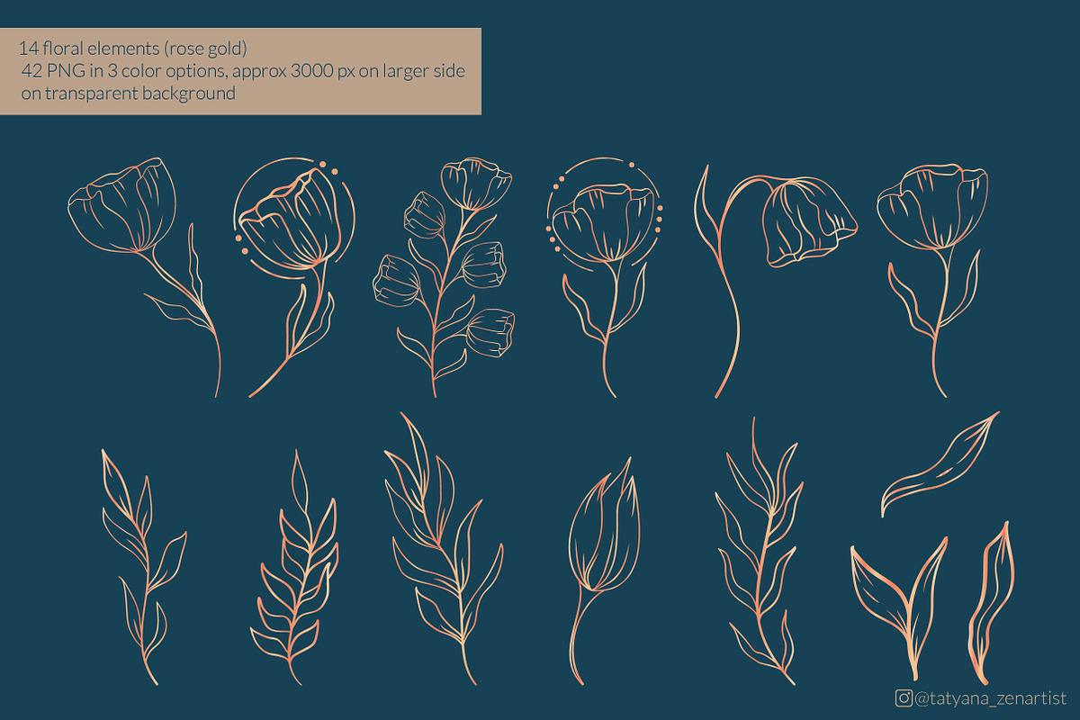 Botanical floral line art set, an Object Illustration by Tatyana_Zenartist (Photo 7 of 11)