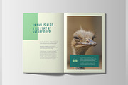 Botanical Lookbook Magazine, a Magazine Template by Layout Design (Thumbnail 7 of 11)