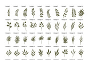 Hand drawn foliage, an Illustration by Wild Rose (Thumbnail 5 of 6)