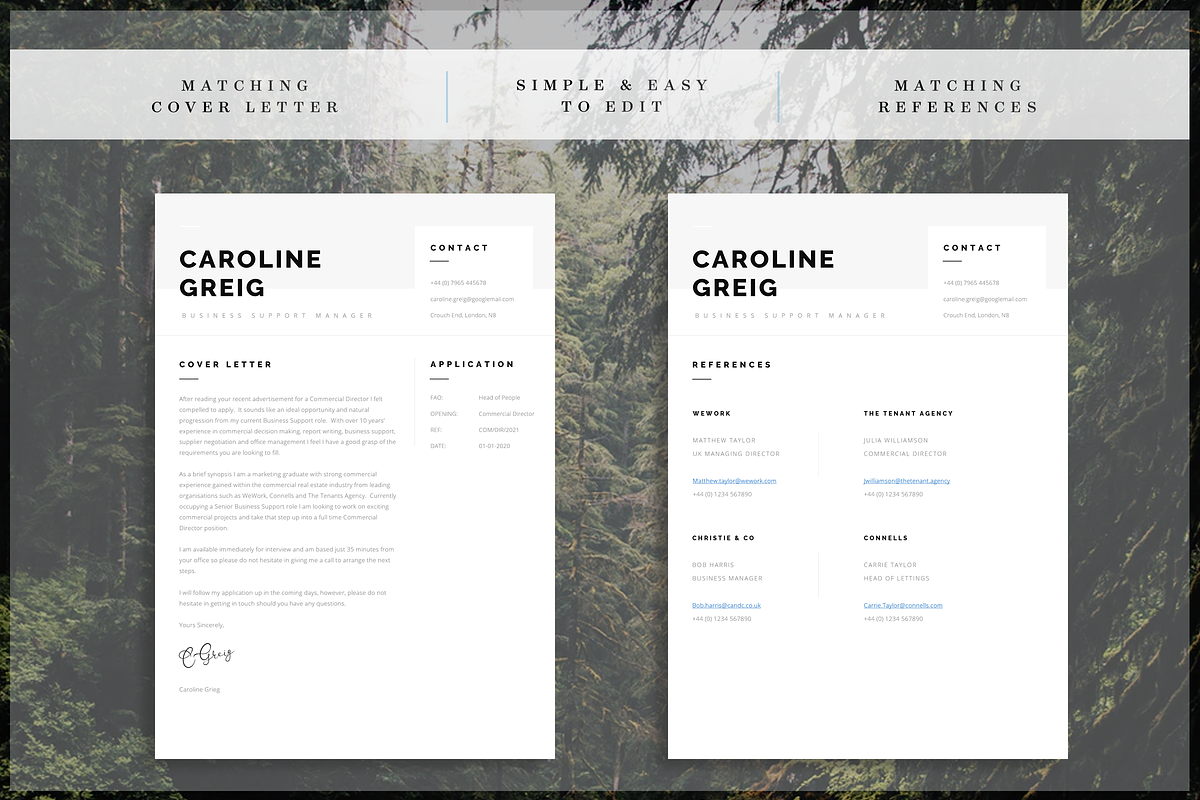 Professional Resume, a Resume Template by introDuice - CV / Resumes (Photo 4 of 6)
