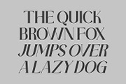 Vamoria- Serif Typeface Font, a Serif Font by Rishsketch (Thumbnail 6 of 15)