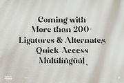 Zephyre Conquer, a Serif Font by Aluyeah Studio (Thumbnail 4 of 15)