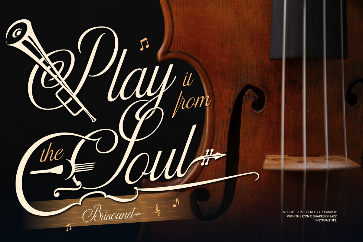 Brisound, a Script Font by Burntilldead (Photo 12 of 12)