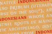 Inlander - Retro Display Font, a Serif Font by Edignwn Type (Thumbnail 9 of 12)