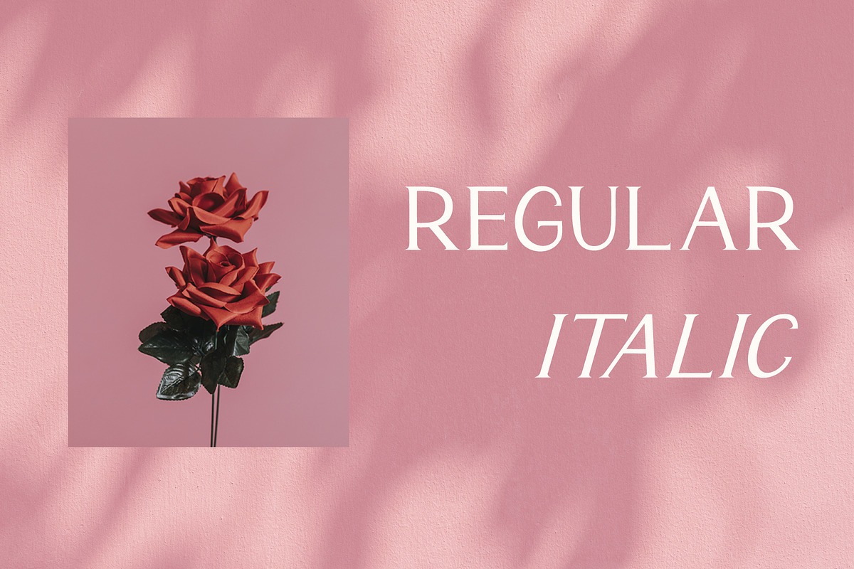 Monaline, a Serif Font by AEN Creative Studio (Photo 6 of 8)