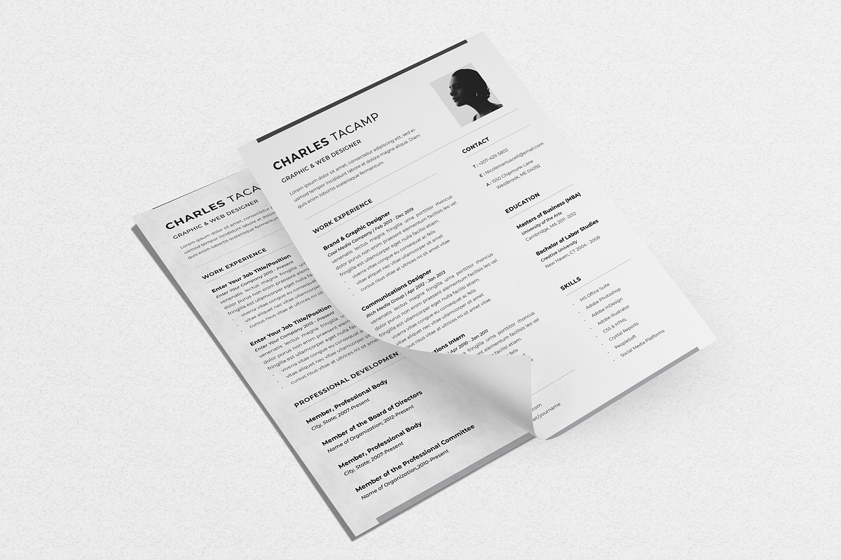 Professional CV Resume, a Resume Template by Faiz zakharia (Photo 5 of 7)