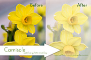 Dressing Room texture set, a Texture Graphic by Cindy Garber Iverson (Thumbnail 4 of 5)