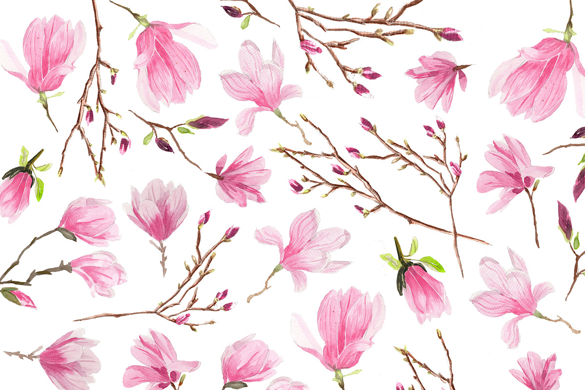 Magnolias Watercolor flowers, an Illustration by Anis Illustration (Photo 7 of 7)