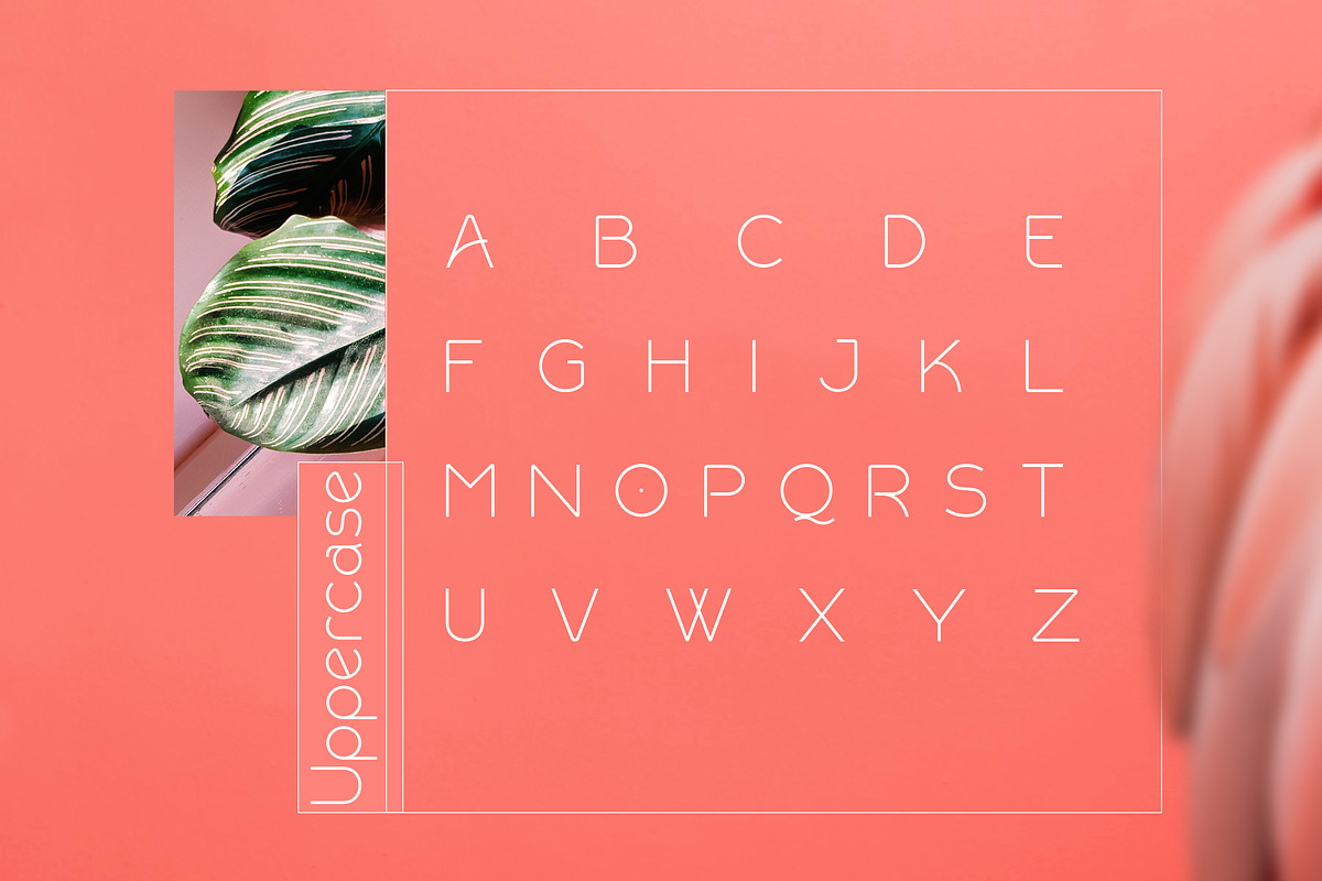 Rollgates Modern Sans preview 5
