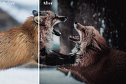 Dark & Moody Lightroom Presets, an Action Add-On by Maple Visuals (Thumbnail 3 of 9)