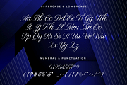 Elviona – A Modern Script Font, a Script Font by overlaytemplates (Thumbnail 4 of 5)