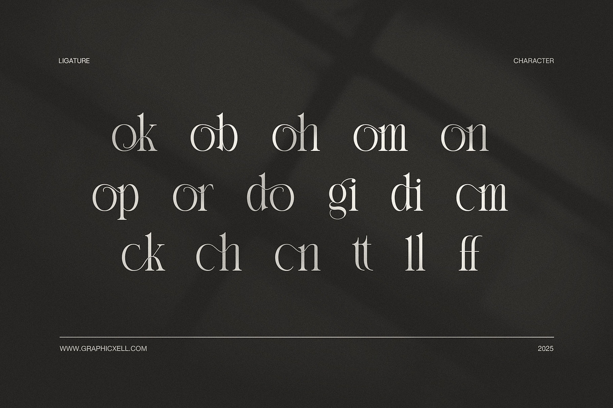 Moking Elegant Serif Font, a Serif Font by Elegant Font (Photo 8 of 8)