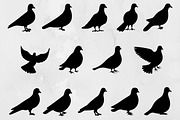Pigeon Silhouette SVG, an Animal Illustration by newminddesign (Thumbnail 1 of 3)