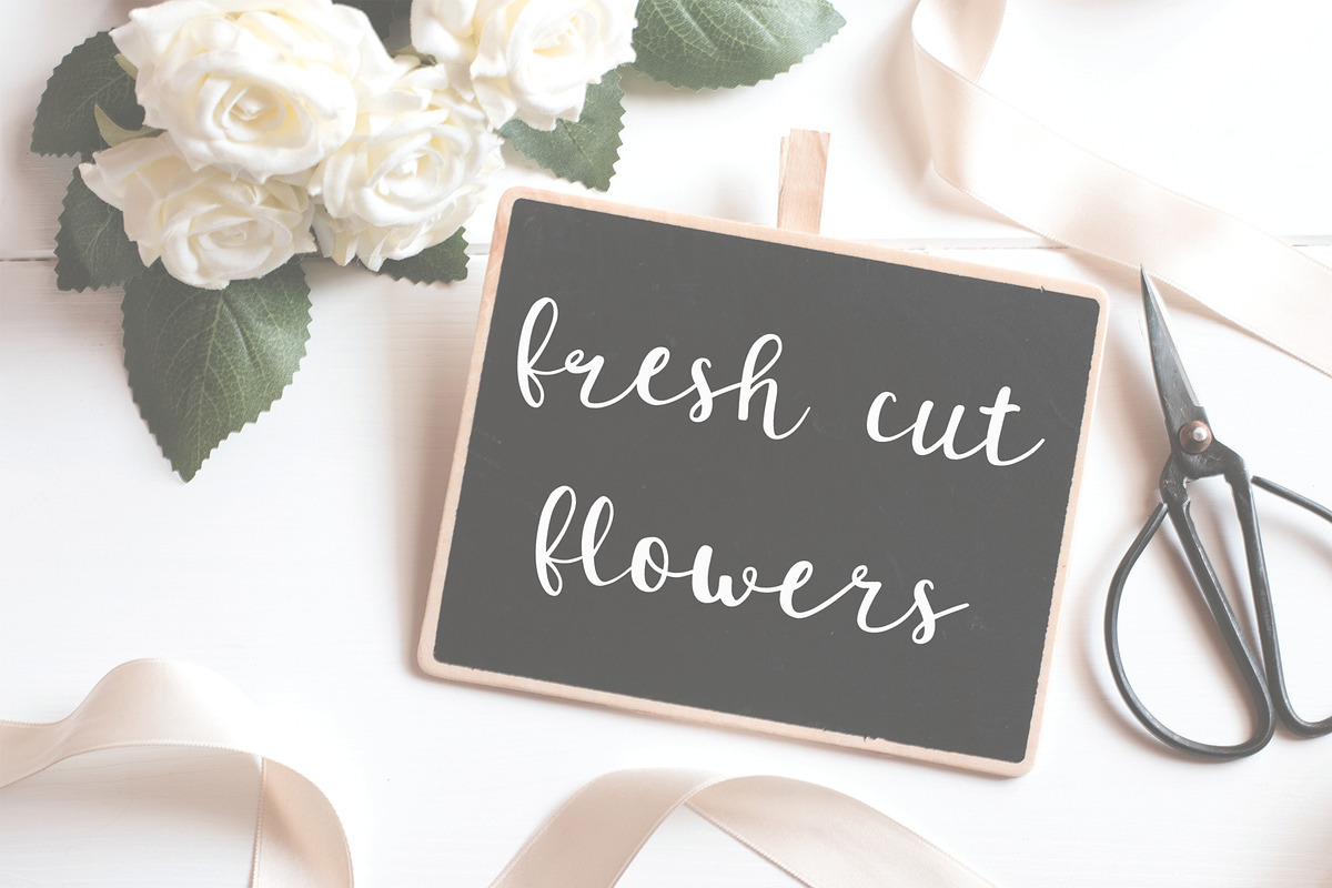 Enchanted: A Script Font preview 4