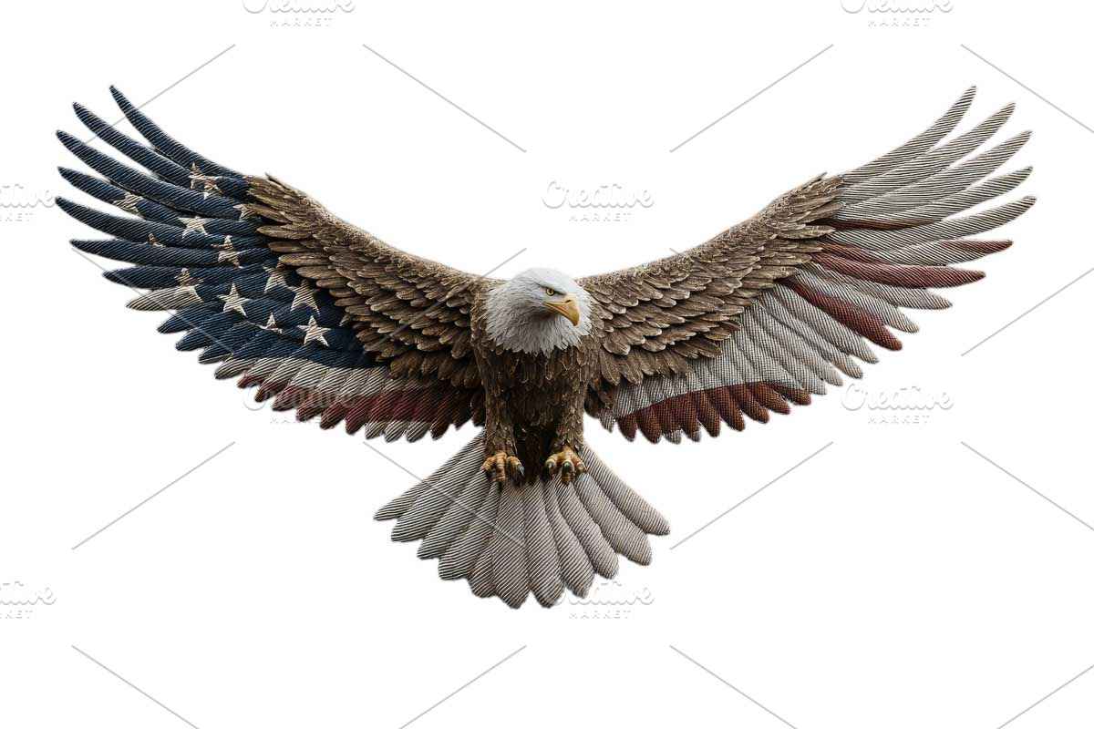 American bald eagle, an Object Graphic by VetalStock