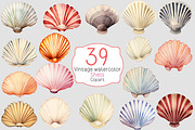 Watercolor shells clipart, a Decorative Illustration by Shahjahangdb1 (Thumbnail 2 of 2)