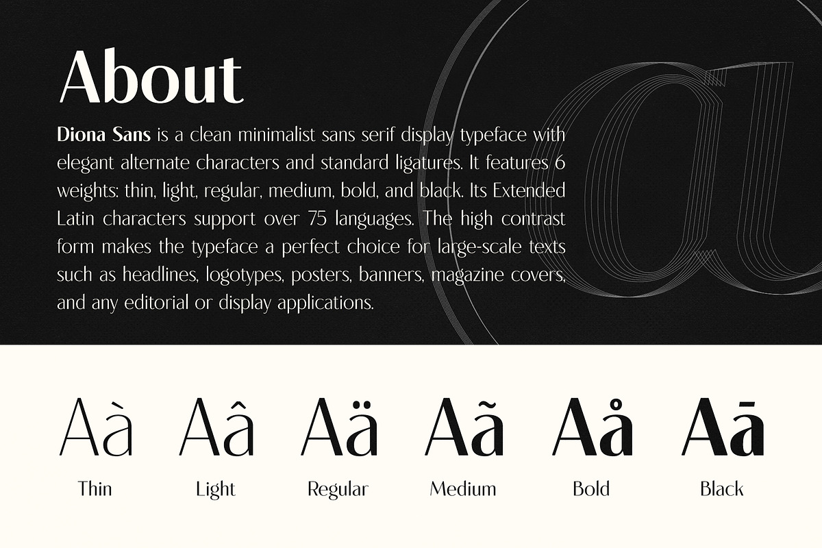 Diona Sans - Font Family, a Sans Serif Font by iqbal habibi (Photo 2 of 11)