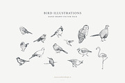 Bird Illustrations: Vector Pack, an Illustration by Sarah Ann Design (Thumbnail 1 of 6)