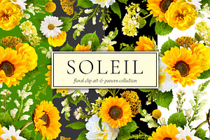 Soleil Floral Patterns & Clip Art