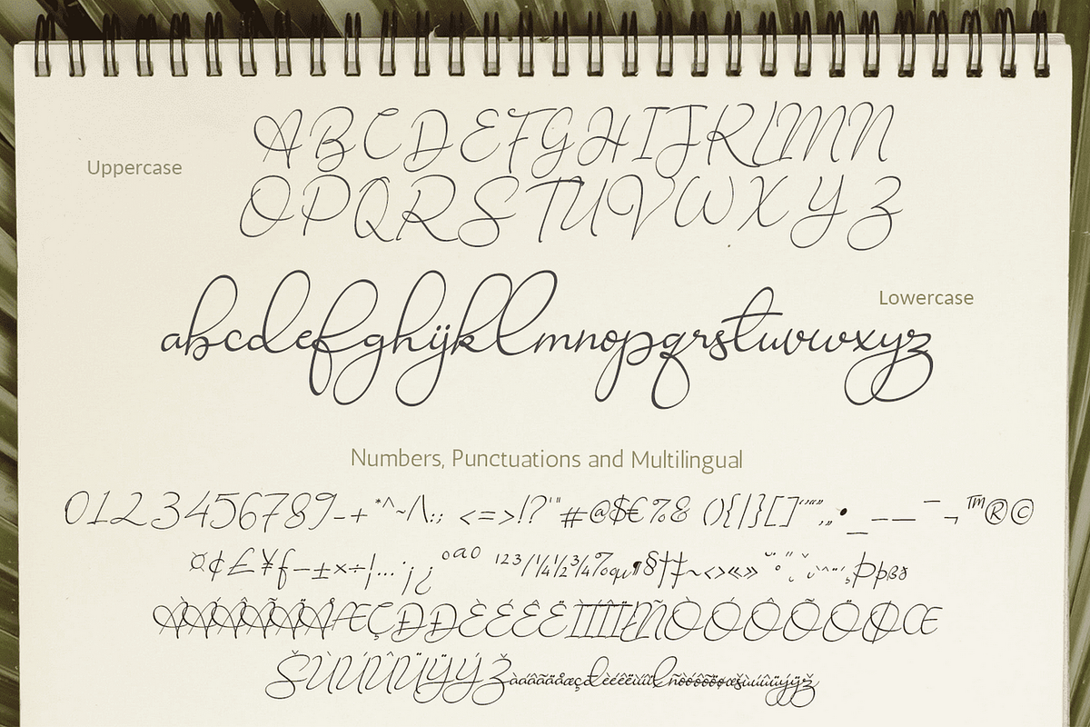 Ravishing Solidago Font, a Handwritten Font by Letterhanna Studio (Photo 13 of 21)