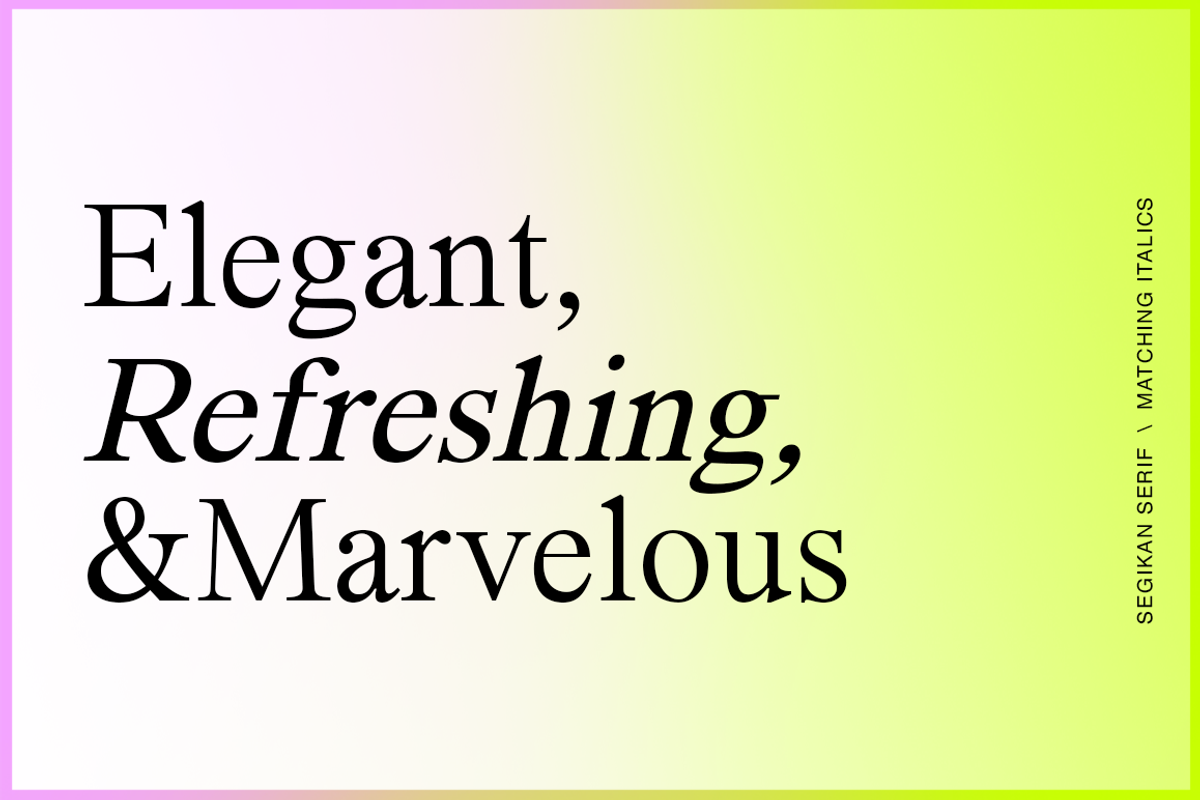 Segikan | SALE 60% OFF, a Serif Font by Areatype (Photo 9 of 16)