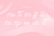 Strawberry Moment, a Handwritten Font by din-studio.com (Thumbnail 9 of 10)