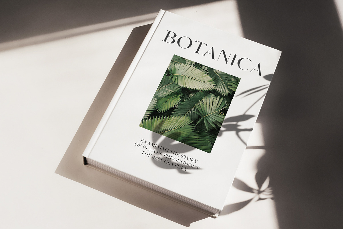 Equinox Stylish Font duo & logo set, a Slab Serif Font by Studio Aurora (Photo 12 of 13)