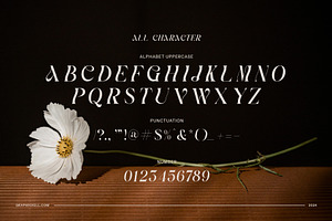 Avonte - Elegant Serif Font