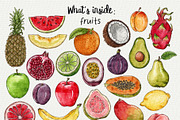 Fruits & berries watercolor clipart, an Object Graphic by Trinibis (Thumbnail 2 of 4)