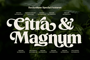 Beckenham Retro Serif, a Font by Fenotype (Thumbnail 2 of 14)