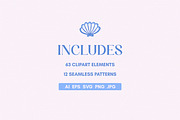 Seashells Clip Art & Patterns, an Object Graphic by Leila Divine (Thumbnail 2 of 13)