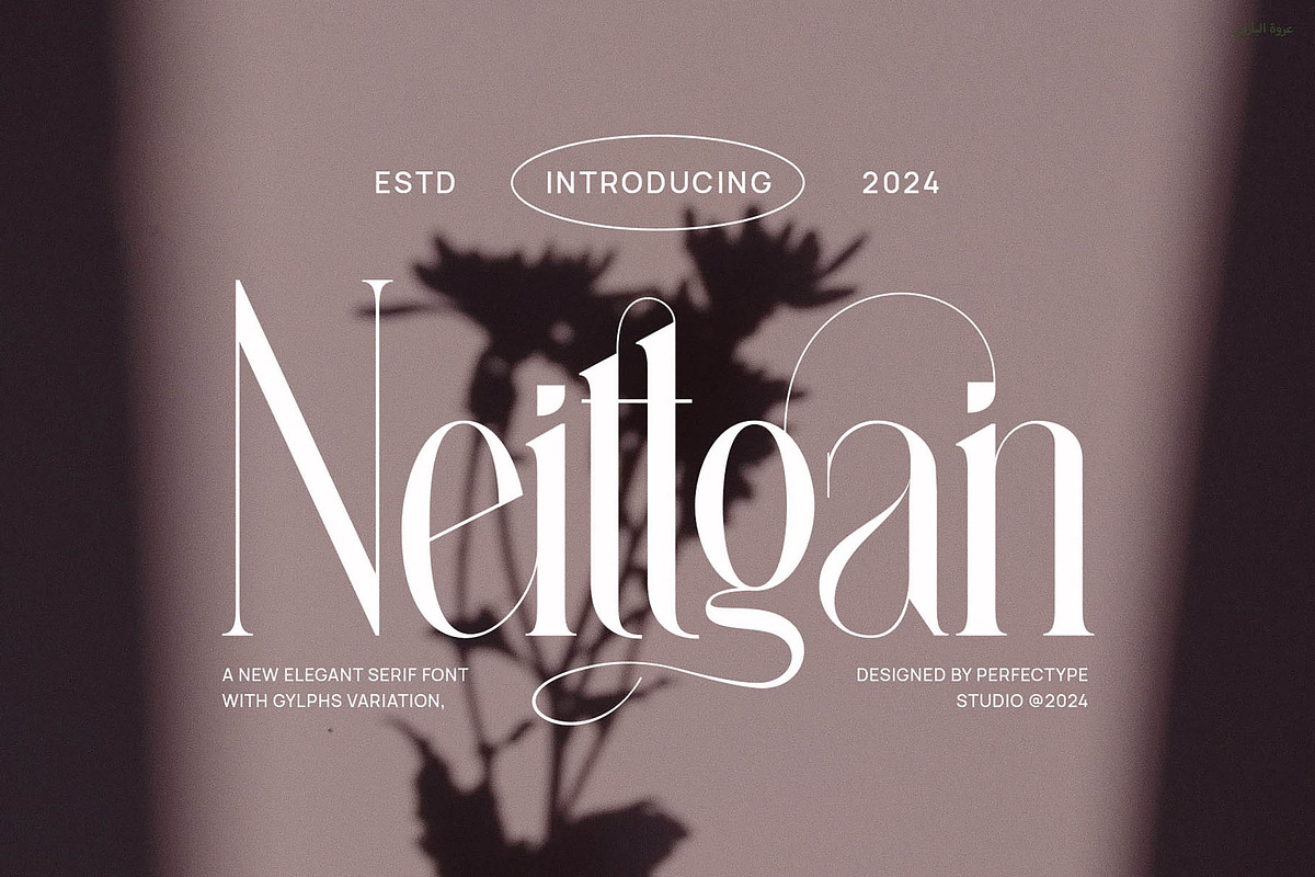 Neittgan Elegant Ligature Serif Font, a Serif Font by Perfectype (Photo 1 of 6)