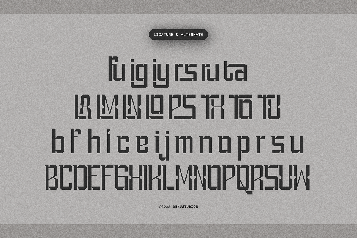 Sars Fect | Modern Sans Serif, a Sans Serif Font by Denustudios (Photo 11 of 12)