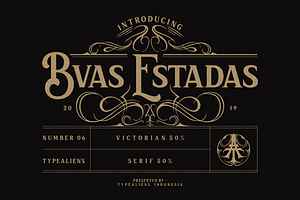 Bvas Estadas - Logo, Tattoo & Liquor, a Serif Font by ilhamtaro