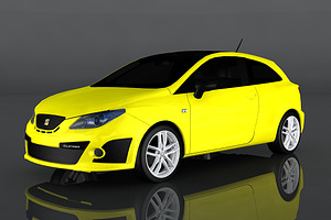 2009 SEAT Ibiza Cupra