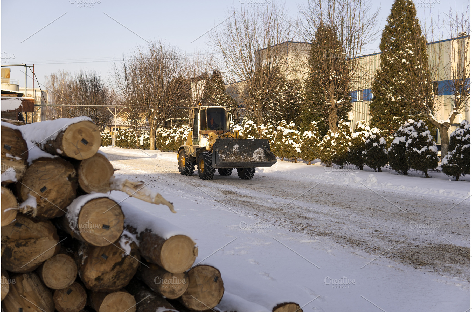 Timber logs piled with snow at a, an Industrial Photo by volodymyrshtun13795