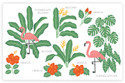 36 Tropical Elements + 12 Patterns, an Object Graphic by monkik (Thumbnail 4 of 11)